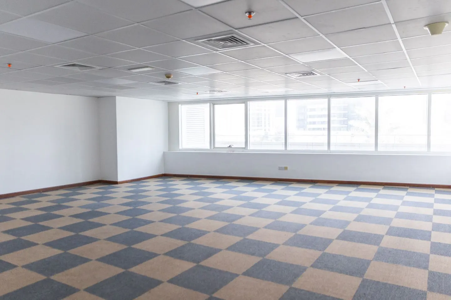 Empty office space with white walls, a checkered blue and beige carpet, and large windows.
