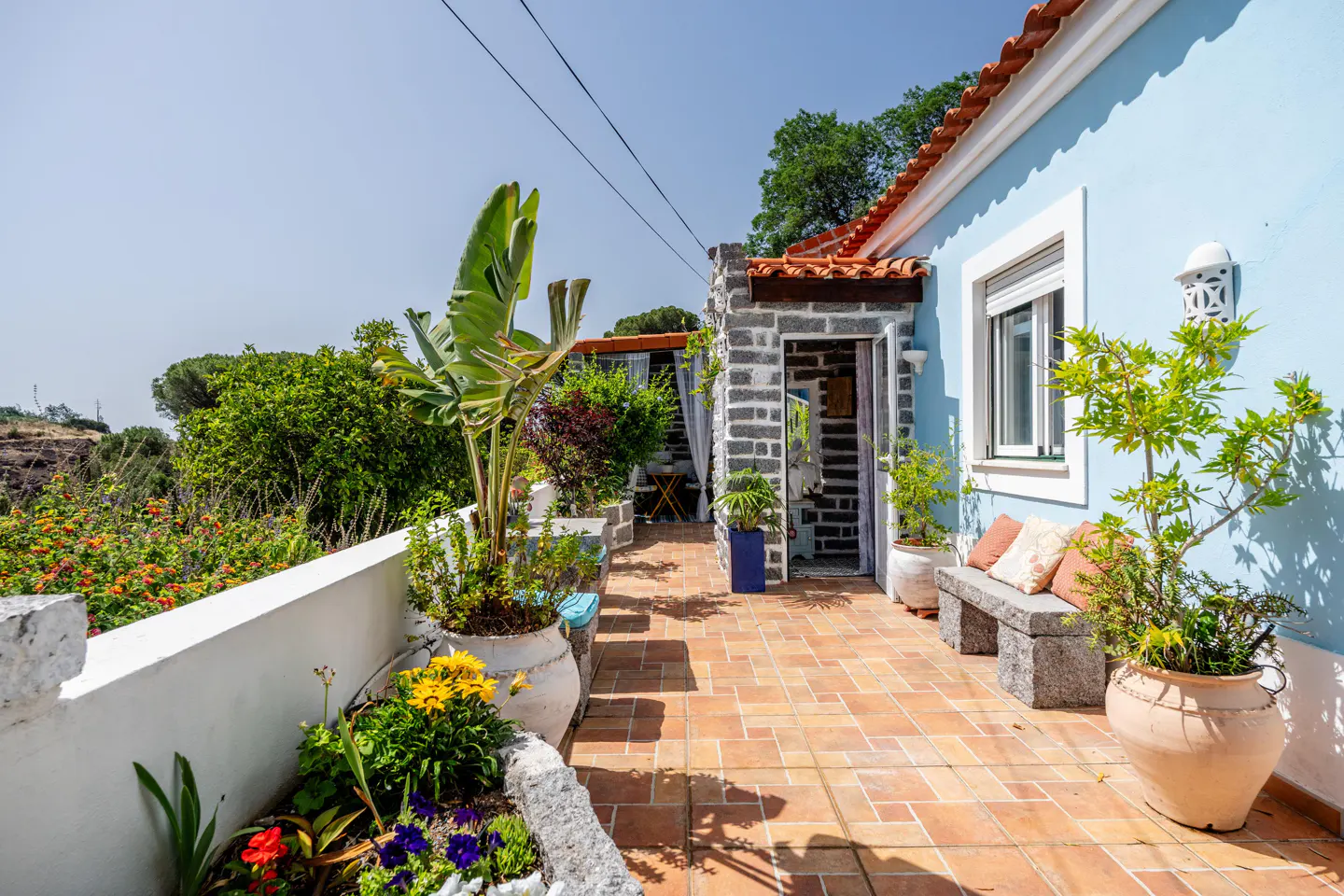 Outdoor patio with terracotta tiles, a blue house, and lush greenery. A stone bench with pillows sits near a window. Potted plants add to the vibrant scene.