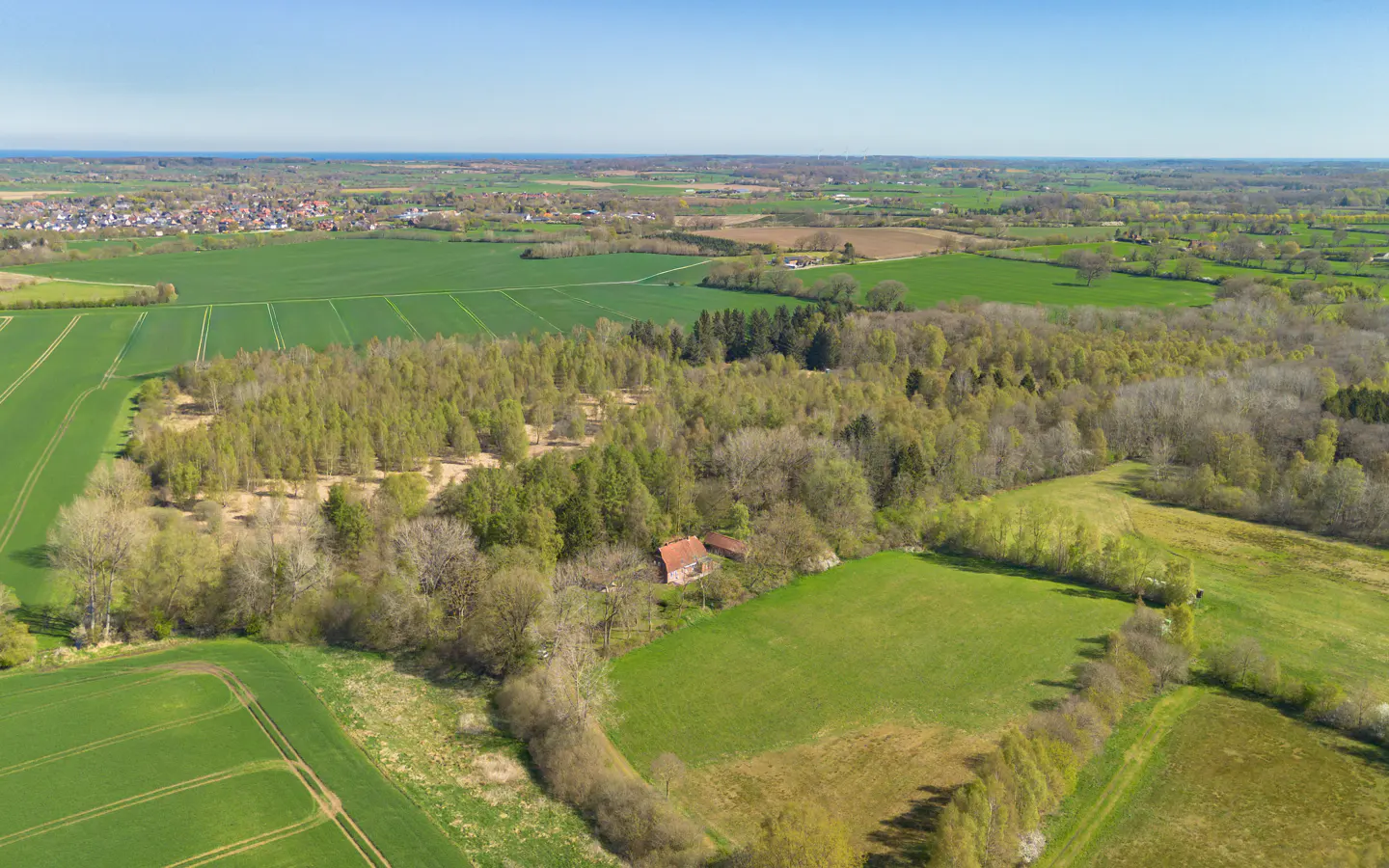 Aerial view of a rural landscape with green fields, trees, and a small red-roofed house nestled in the woods. Blue sky above.