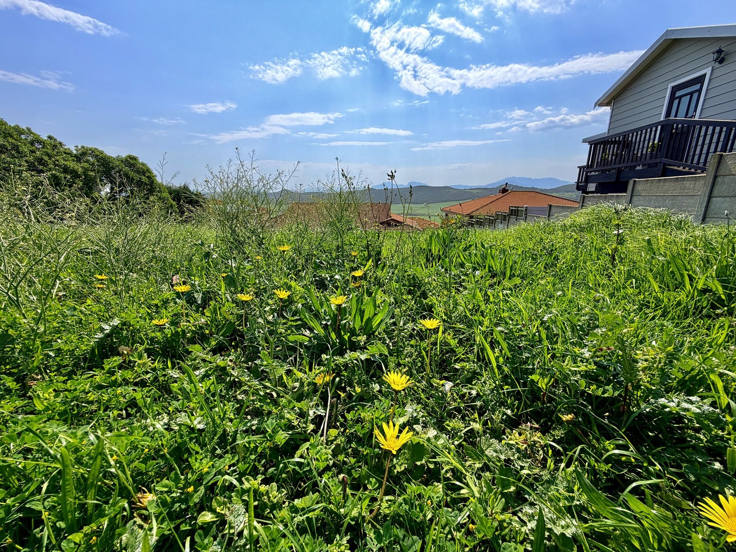 Prime North‑Facing Stand with Exceptional Views