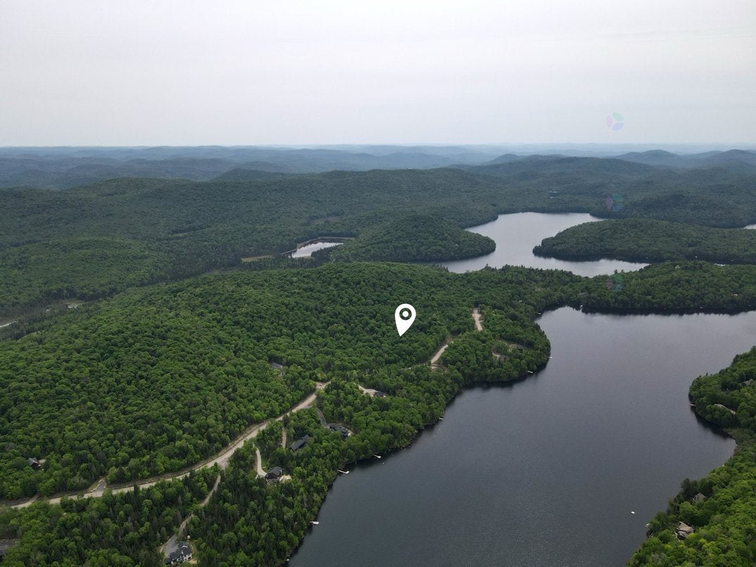 Domaine Ogilvie | La Forêt du Cerf