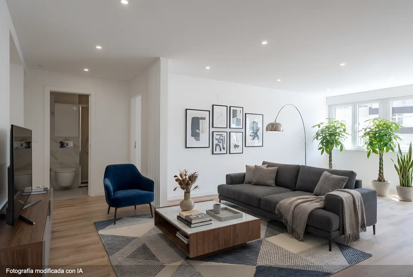 Bright living room with gray sofa, blue chair, and geometric rug. Art hangs above the sofa, and plants sit by the window.