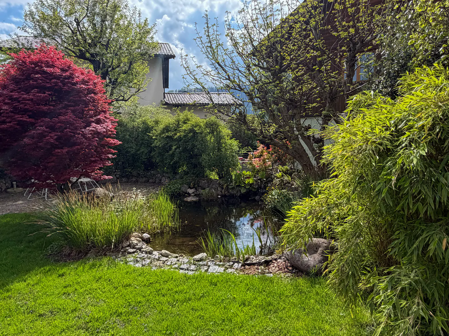Lush garden with a small pond, green lawn, red maple tree, and various plants. A house is visible in the background.