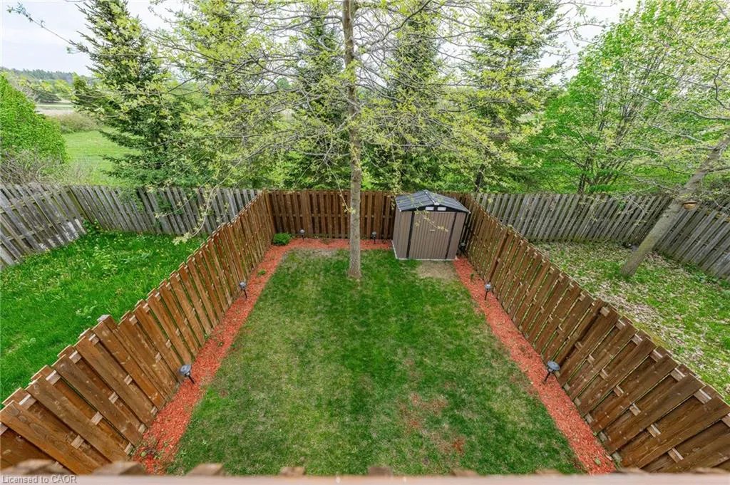Aerial view of a fenced backyard with green grass, a small shed, and a tree in the center. The fence is made of wood and there is red mulch along the edges.