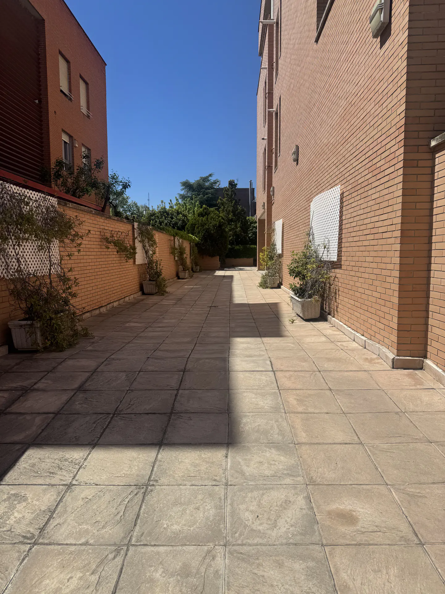 Exterior view of a brick building with a paved walkway, plants, and a clear blue sky.