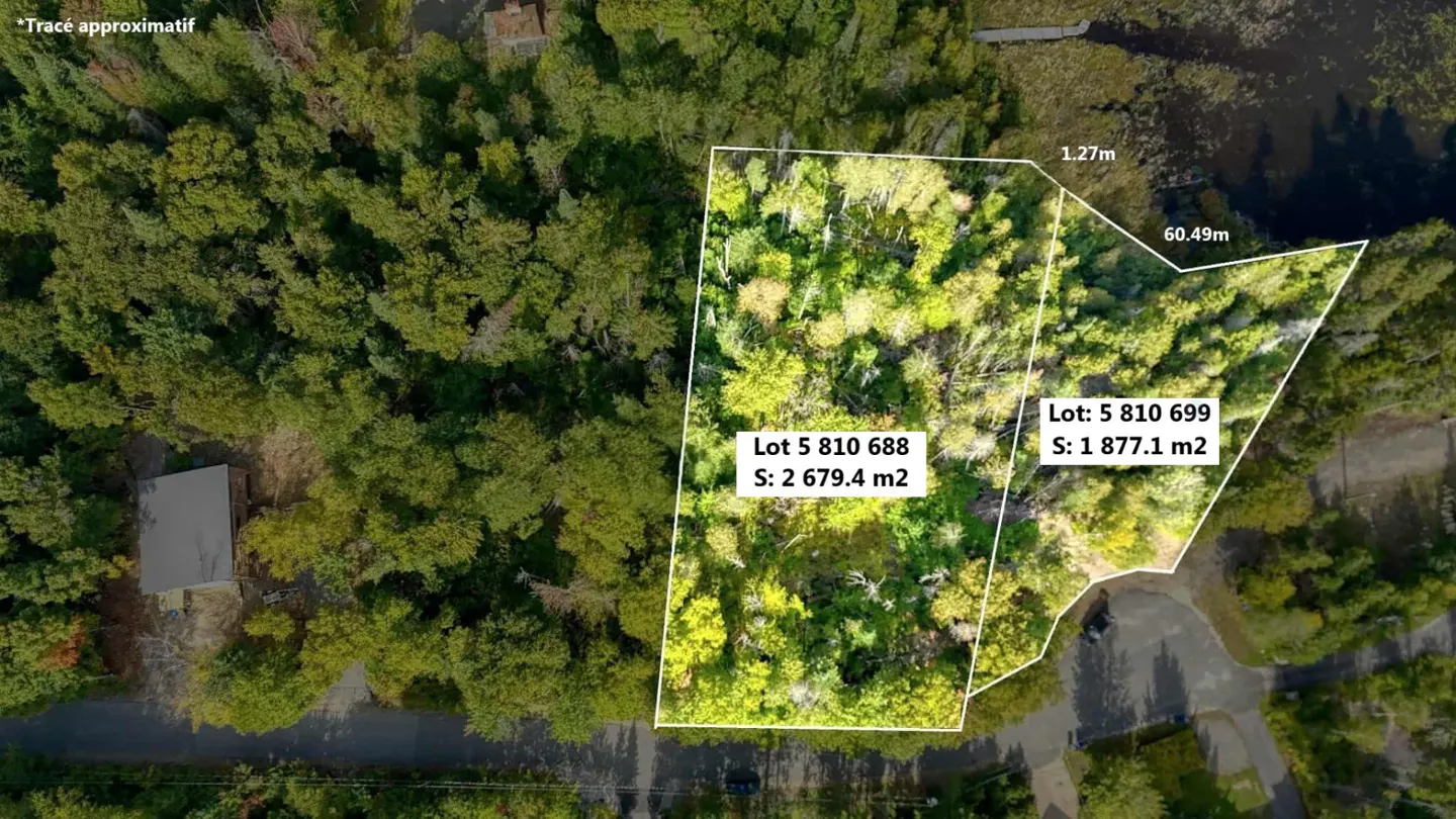 Aerial view of two adjacent wooded lots outlined in white, near a lake and road. Lot sizes are labeled.