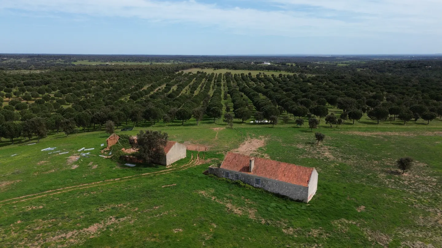 Aerial view of two stone houses with red tile roofs in a green field, surrounded by rows of trees under a blue sky.