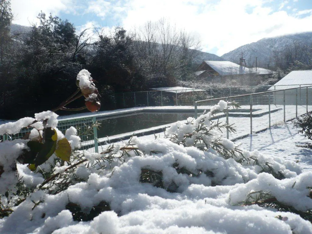 Snowy outdoor pool with a metal fence, trees, and a building in the background on a sunny day.