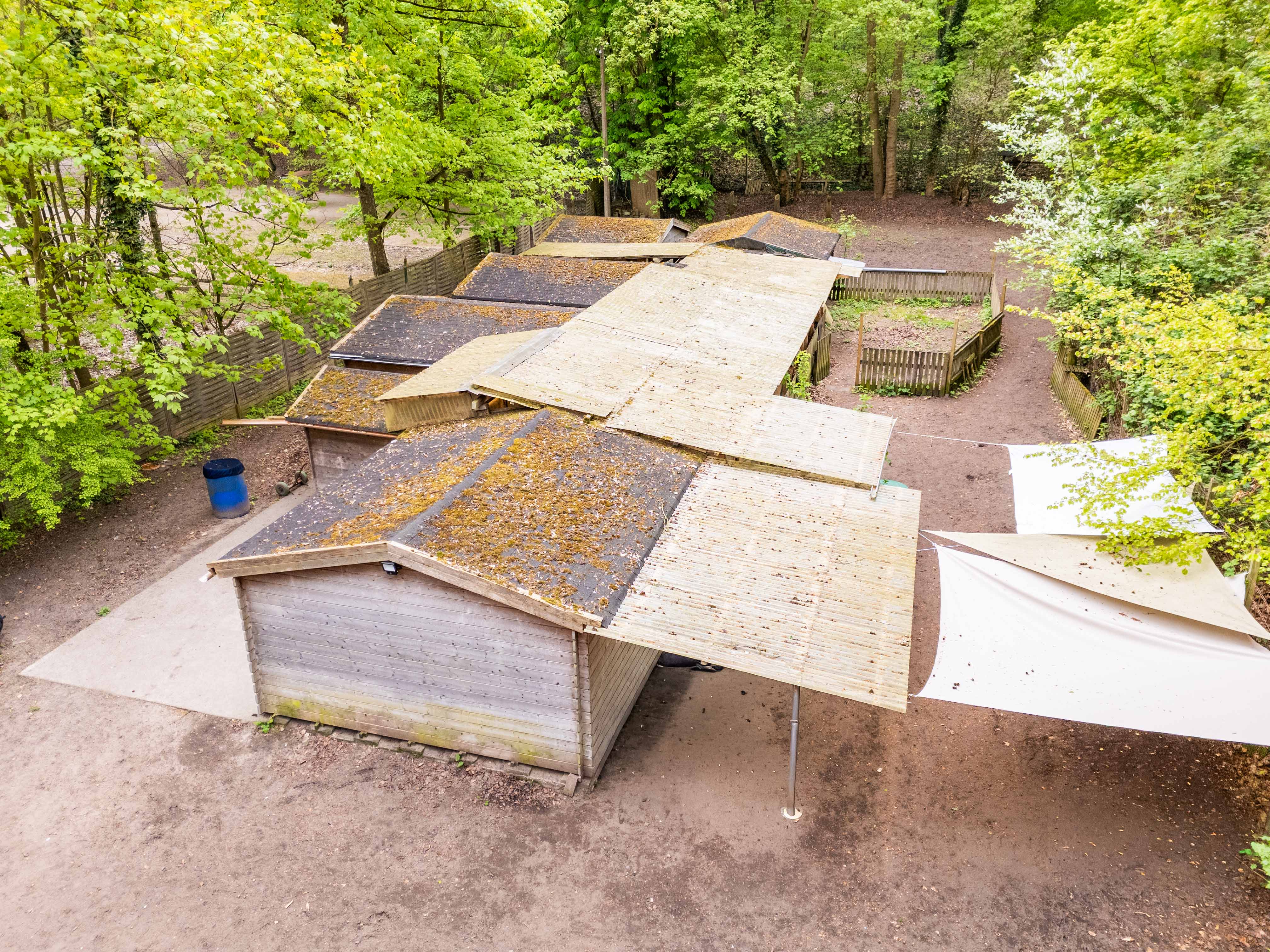 Gewerblich genutztes Spezialgrundstück am Stadtwald – Außenbereich gemäß § 35 BauGB (aktuell Hundetagesstätte)