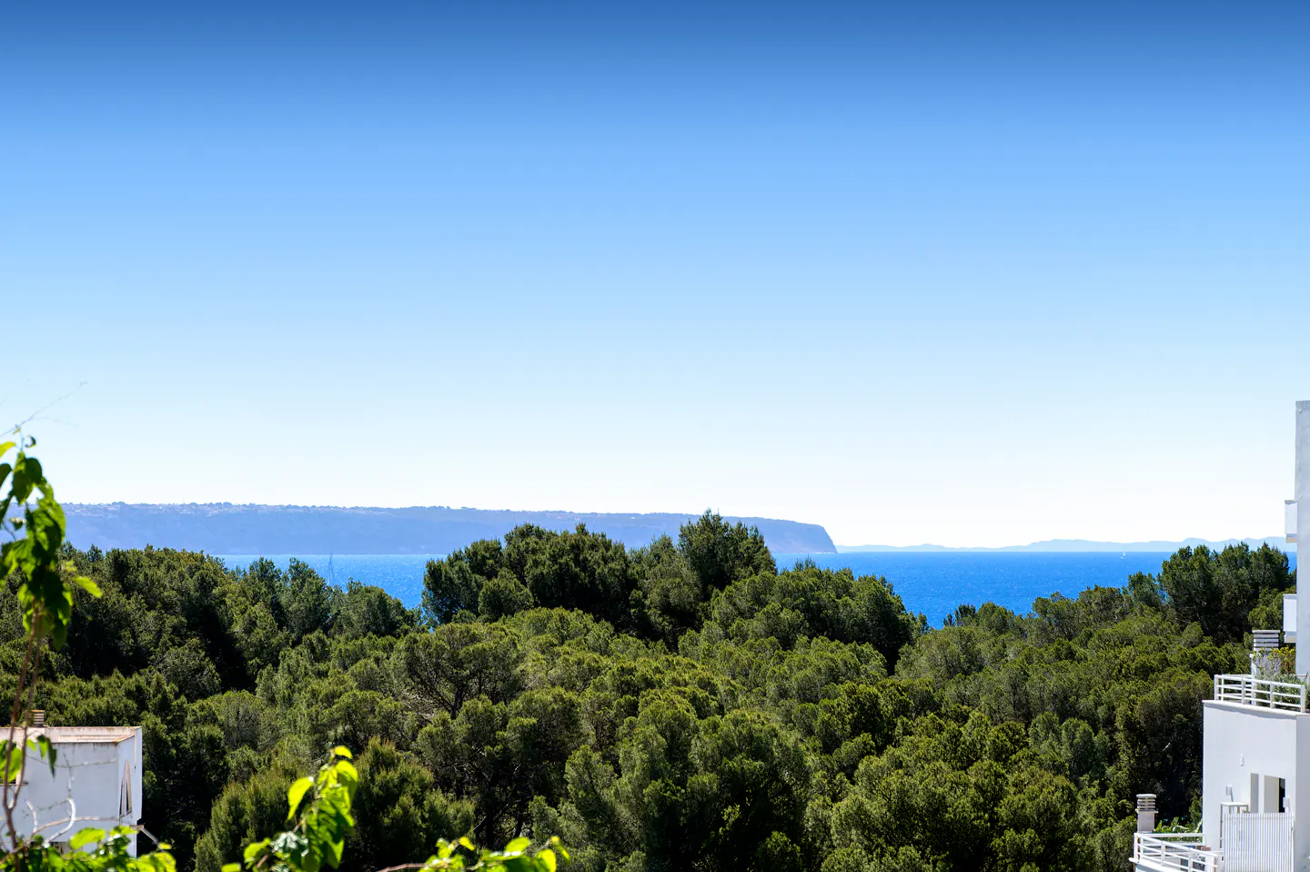 View of the ocean and distant land from behind a dense green forest and white building.