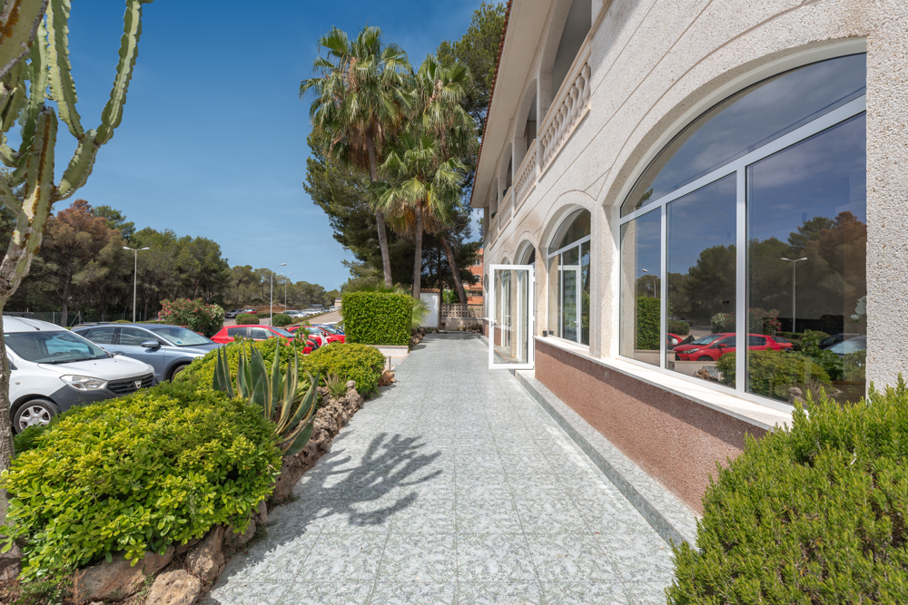 Oficinas nuevas en Costa de la Calma