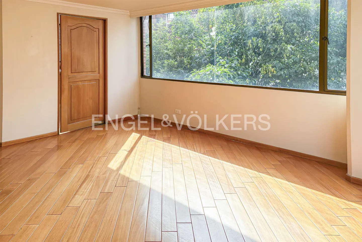 Empty room with wood floors, a door, and a large window with green foliage outside.