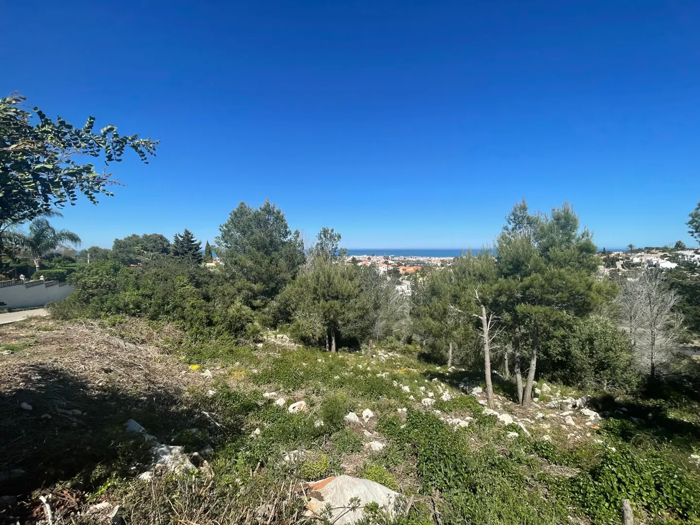 View of a vacant lot with green trees under a clear blue sky, overlooking a town and the ocean in the distance.