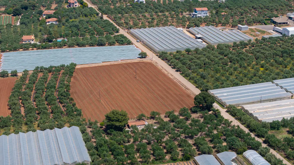 Aerial view of farmland with greenhouses, olive groves, and a plowed field. Houses are visible in the background.
