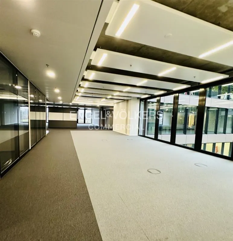 Modern, empty office space with grey carpet, glass walls, and a unique ceiling featuring white panels and recessed lighting.