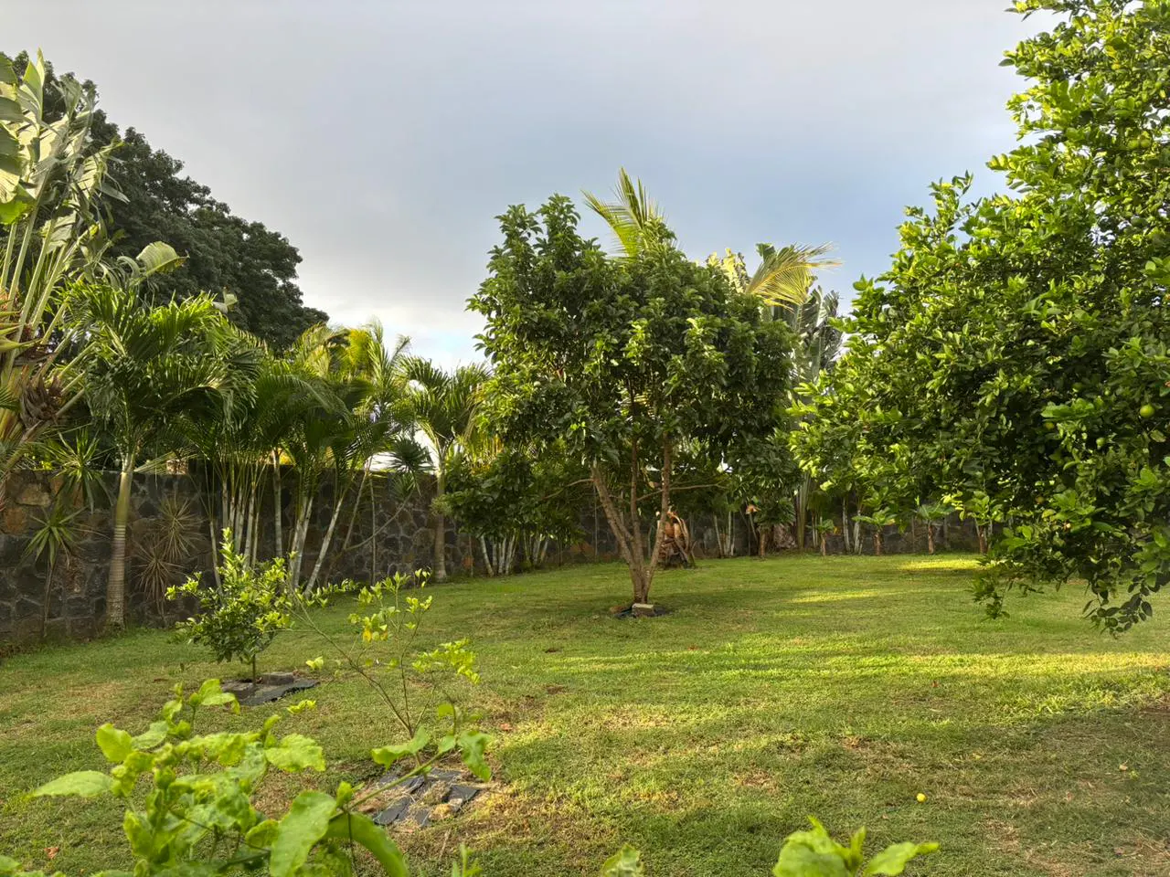 Lush green lawn with trees and plants. A stone wall borders the property. Overcast sky.