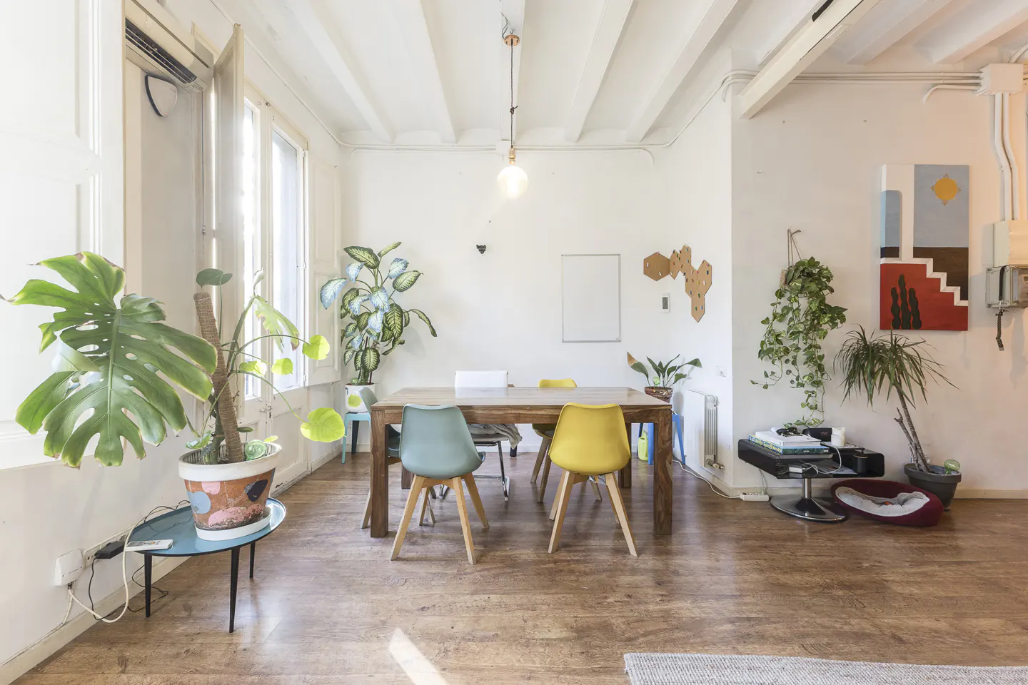 Bright, airy room with a wooden table surrounded by colorful chairs. Plants add life to the space, with art on the white walls.