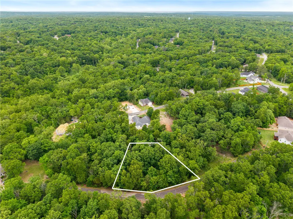 Aerial view of a wooded lot outlined in white, surrounded by lush green trees and scattered houses.