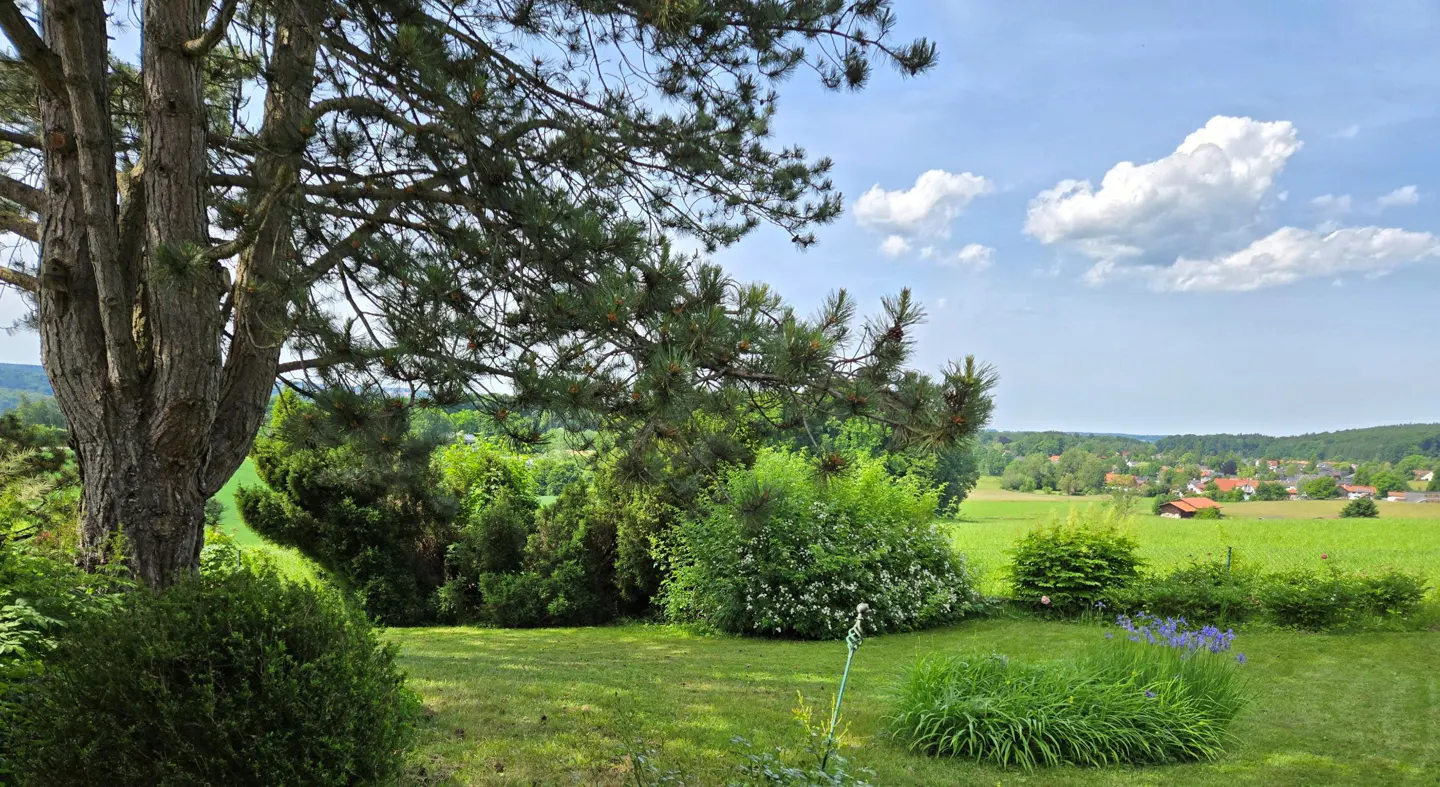 A lush green lawn with trees and shrubs, overlooking a field and distant houses under a blue sky with white clouds.