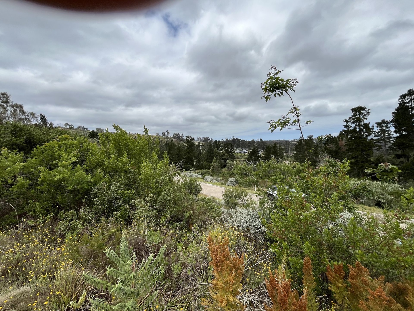 Prime Simola Valley Stand with Forested Valley Views