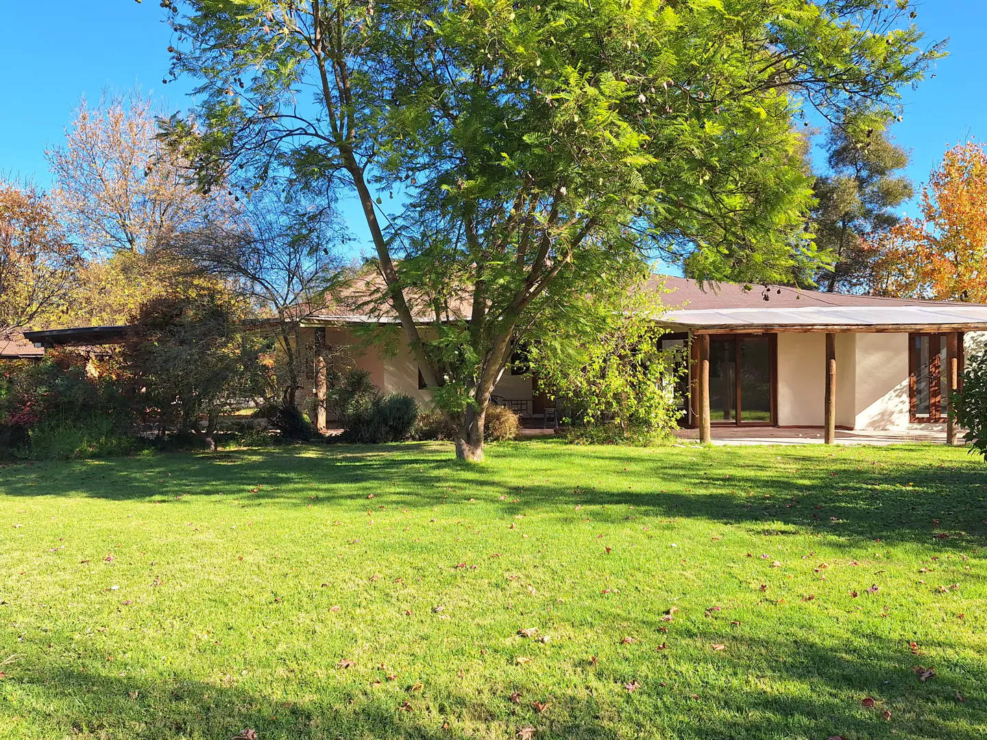 A single-story house with a brown roof and a large green lawn in front. A large tree is in the center of the lawn.