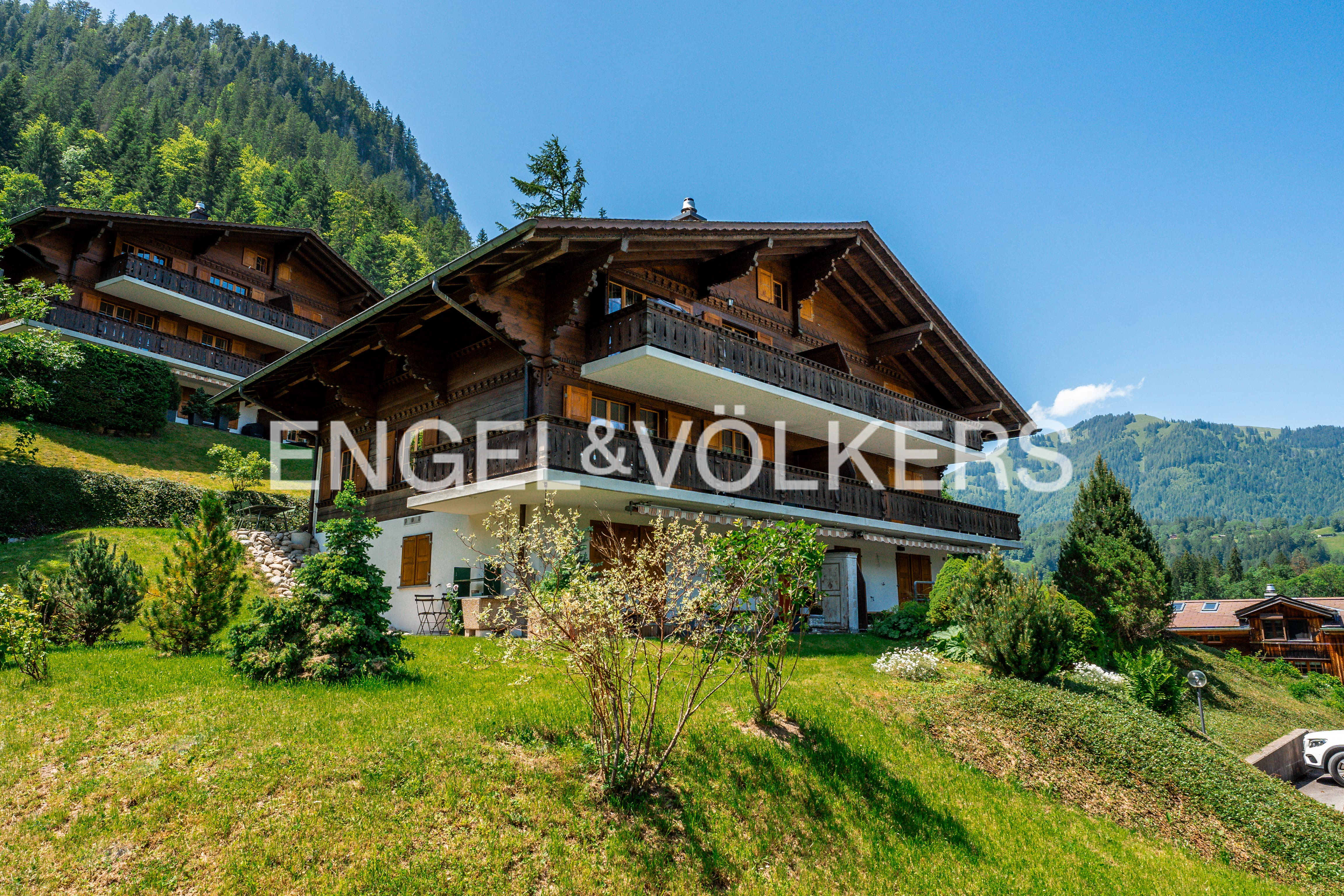 Luxurious and Confortable Apartment in Saanen