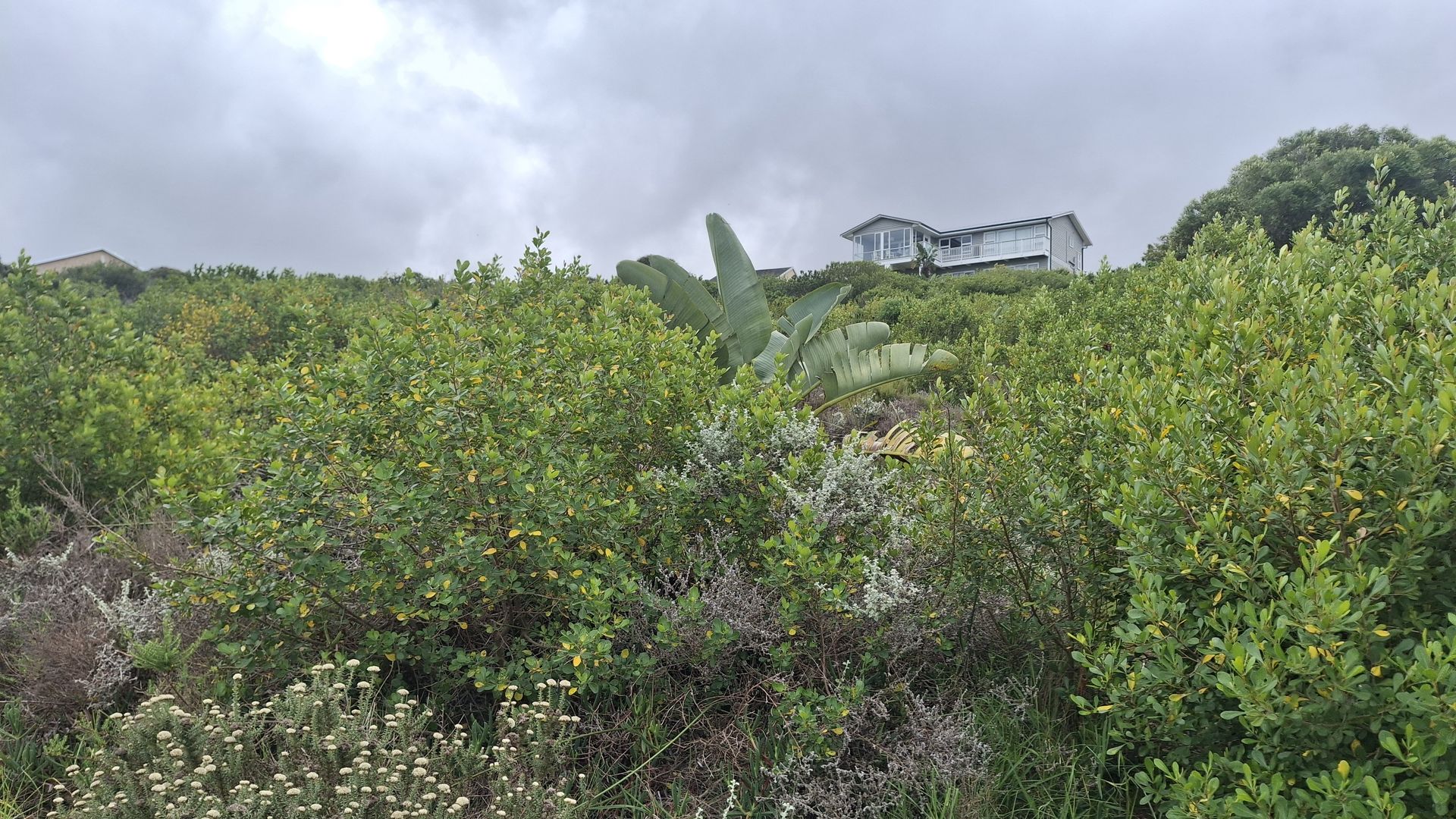 28 A Ferox  ERF   Dana bay