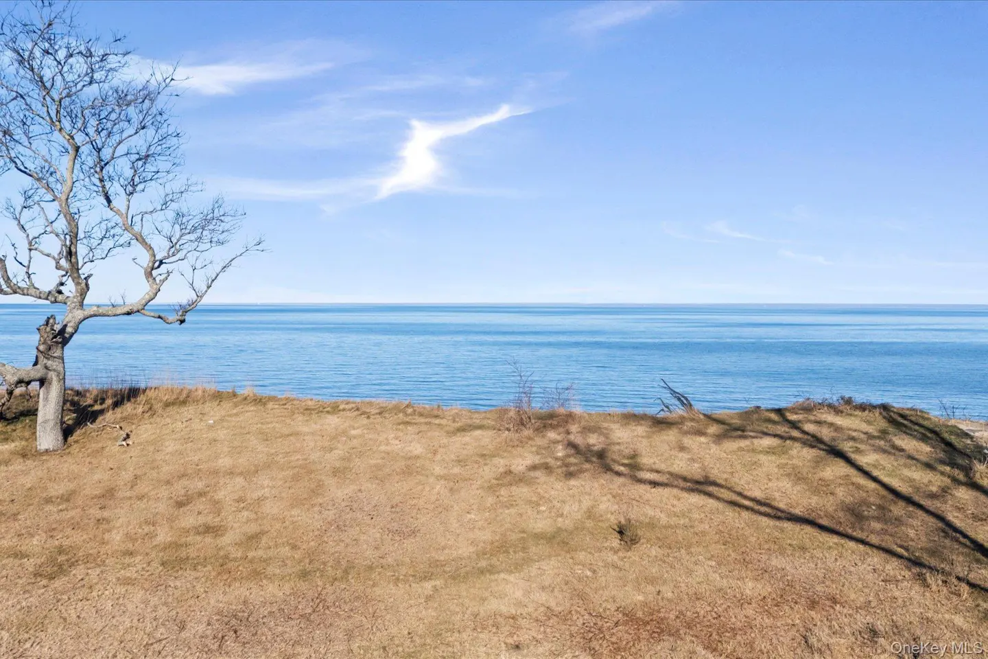 Ocean view property with a bare tree on a grassy bluff under a blue sky with wispy clouds.
