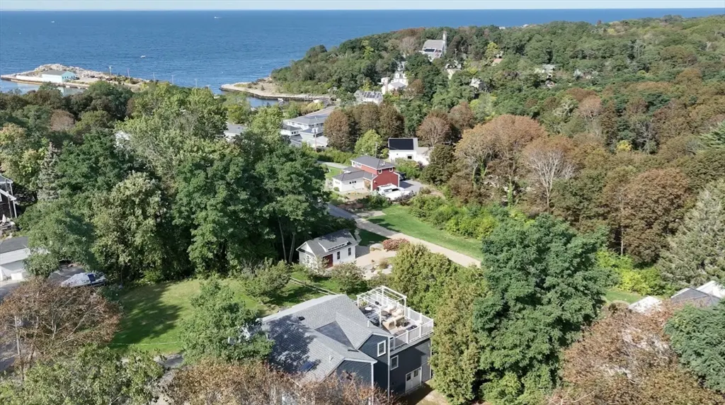 Aerial view of a coastal neighborhood with houses nestled among trees, and the ocean in the background.