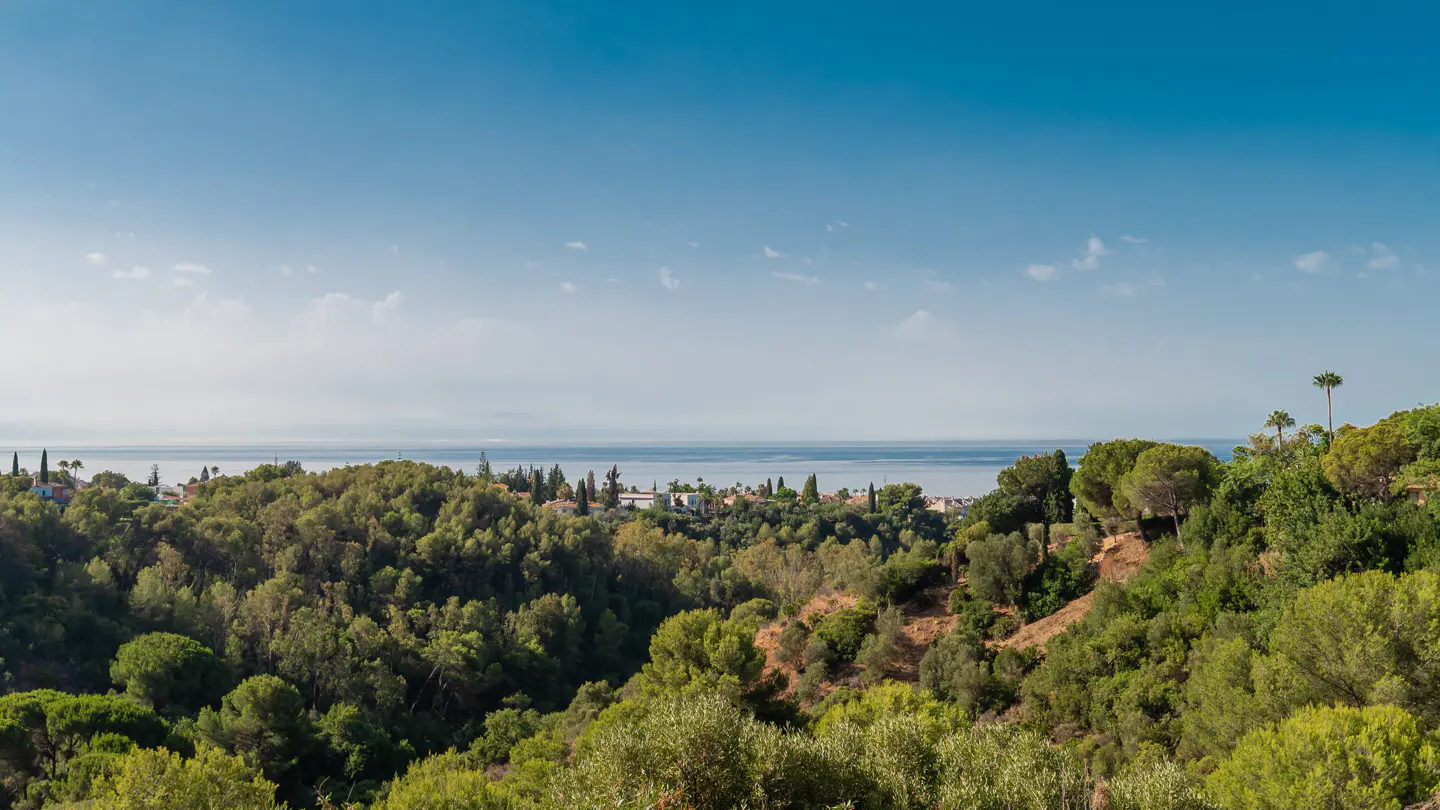 Scenic view of a lush green hillside with trees, overlooking the ocean and a town under a clear blue sky.