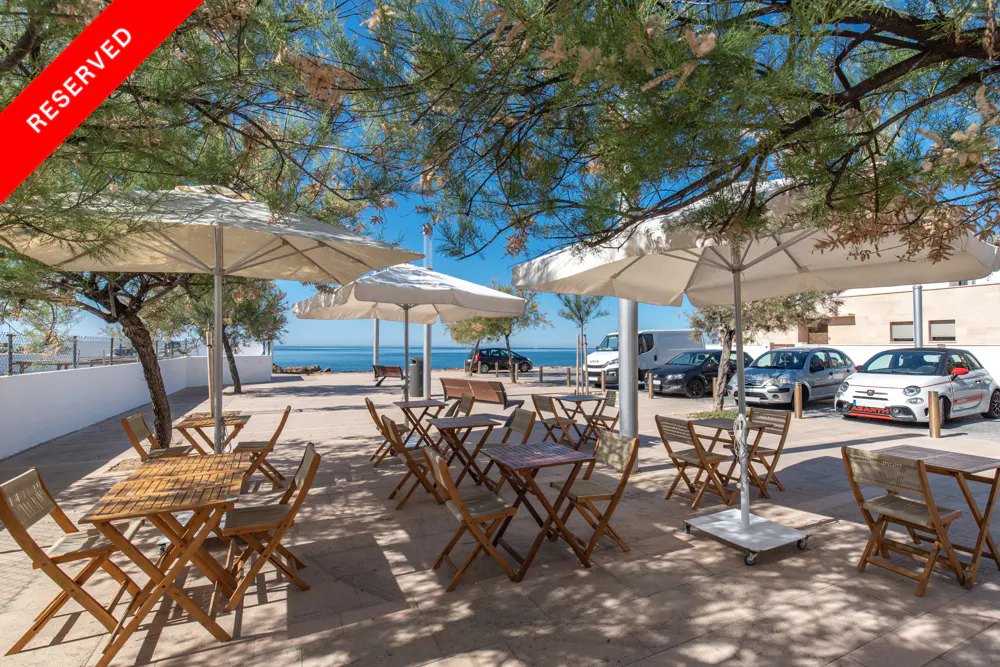 Outdoor cafe with wooden tables and chairs under white umbrellas, near the sea and parked cars.