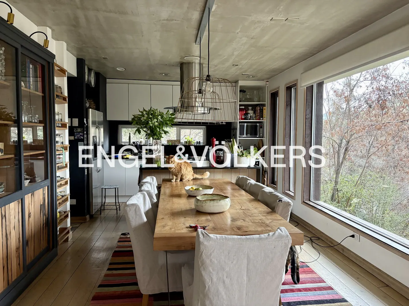Modern dining room with a long wooden table, white slipcovered chairs, a ginger cat, and large windows overlooking trees.