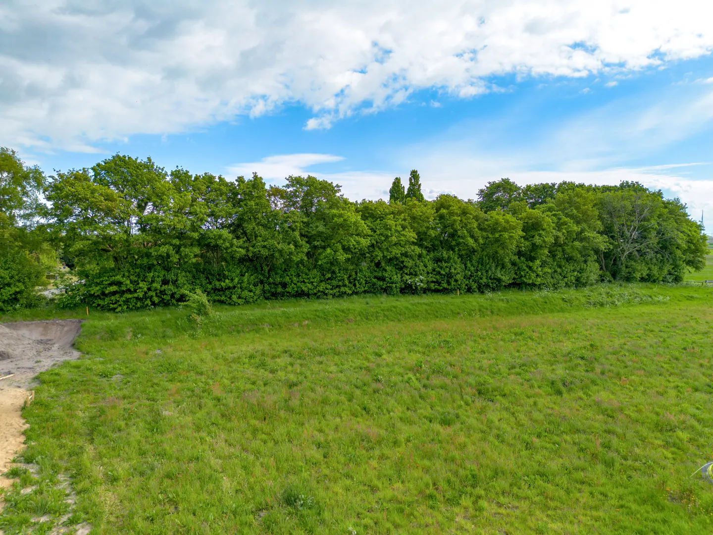 A grassy field with a line of green trees under a blue sky with white clouds.