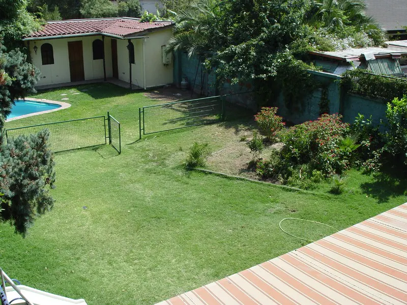 A backyard with a pool, a small house, green grass, and a green fence.