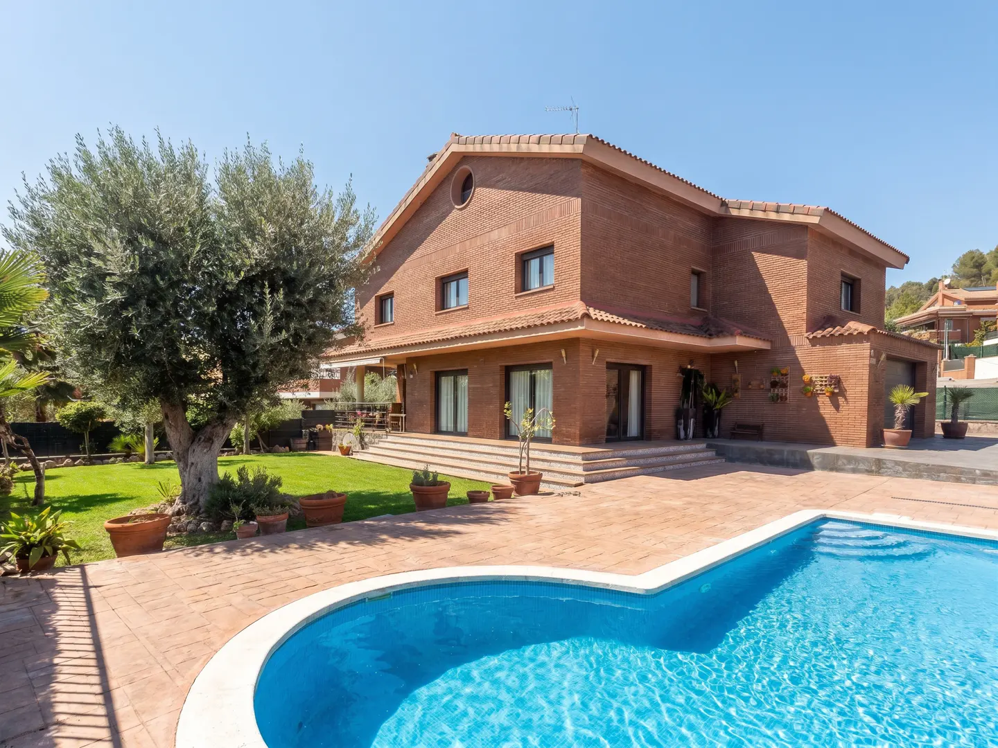 [AI-generated photo]