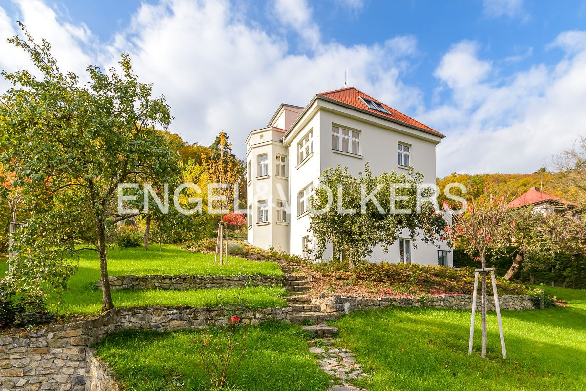 Majestic renovated villa