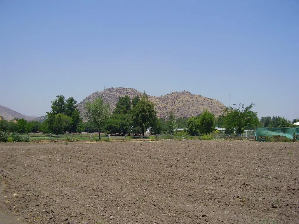 Vacant brown field with trees and a mountain under a clear blue sky.