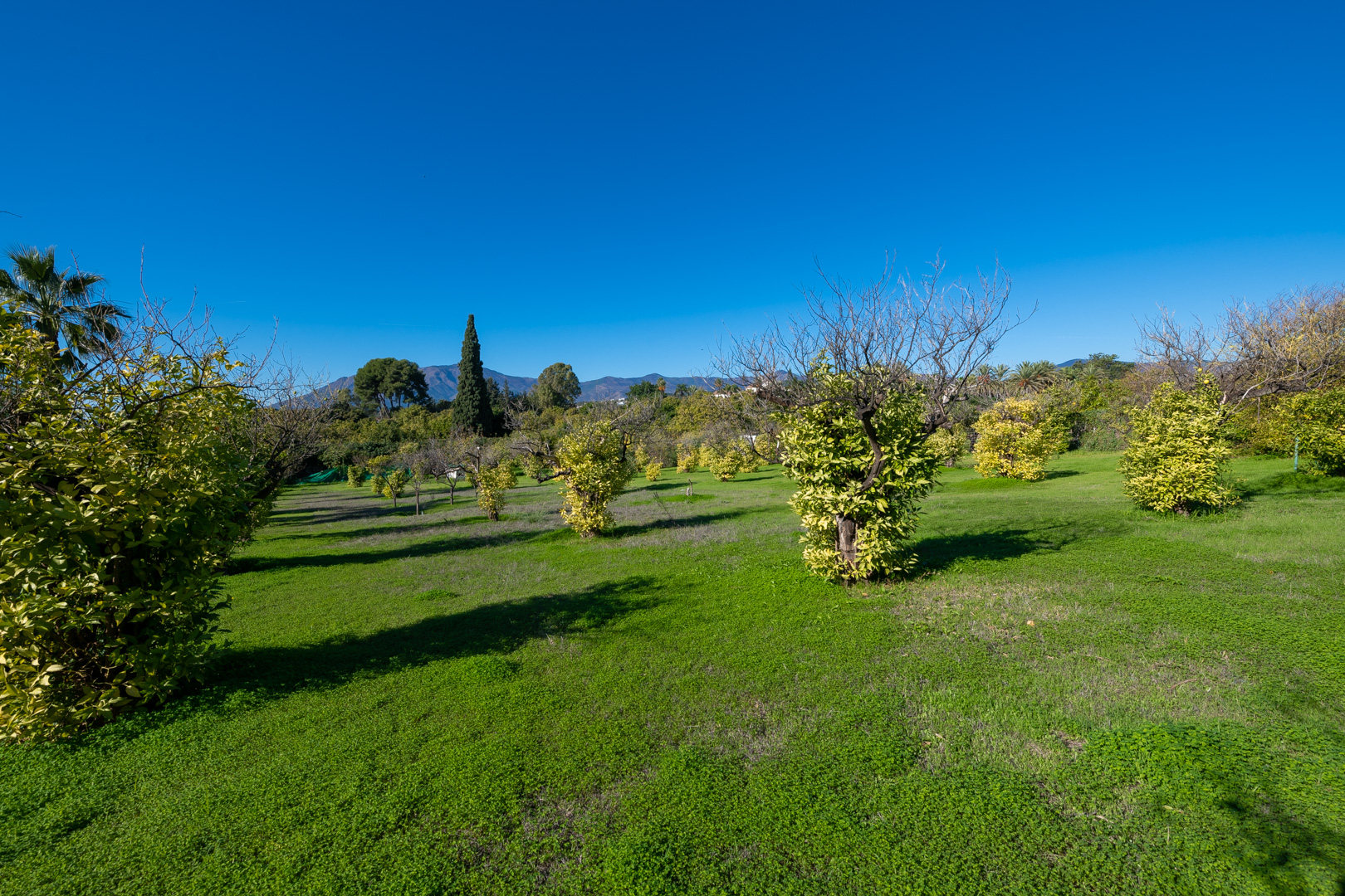 Estepona land – development opportunity with great potential