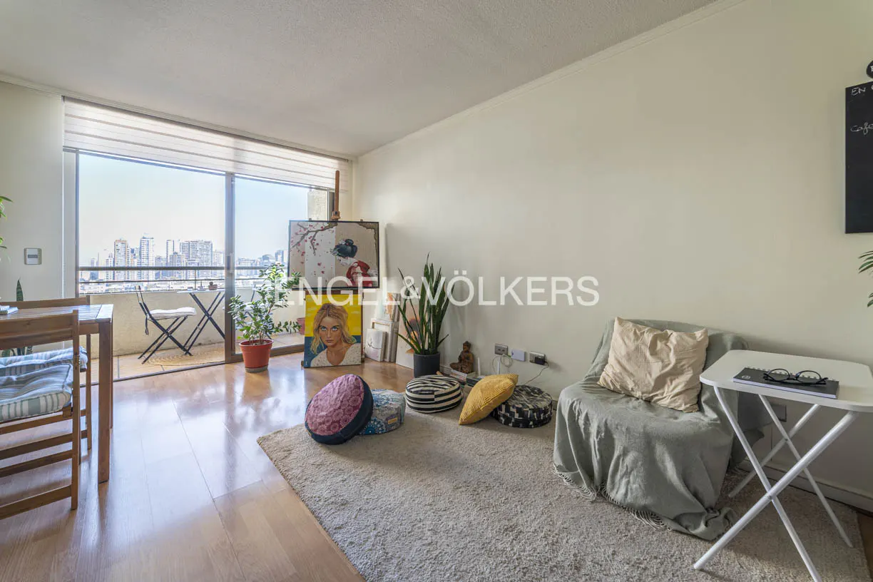 Living room with wood floors, a balcony with a city view, and a gray rug with a chair and pillows.