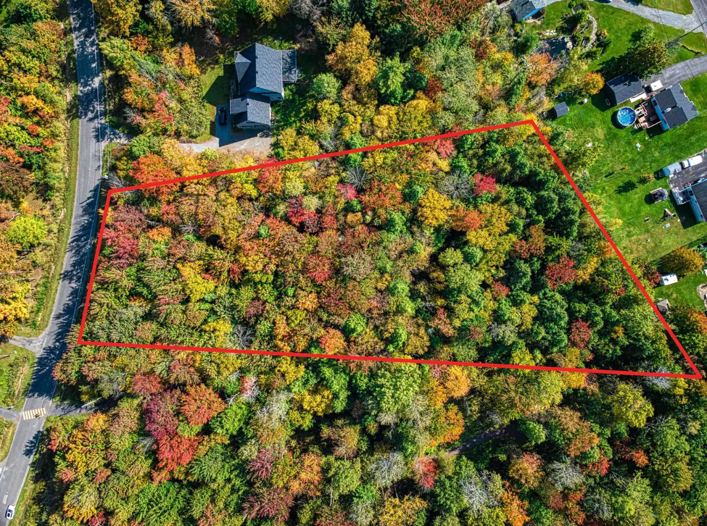 Aerial view of a wooded lot outlined in red, with fall foliage in yellow, red, and green. A road and houses are visible nearby.