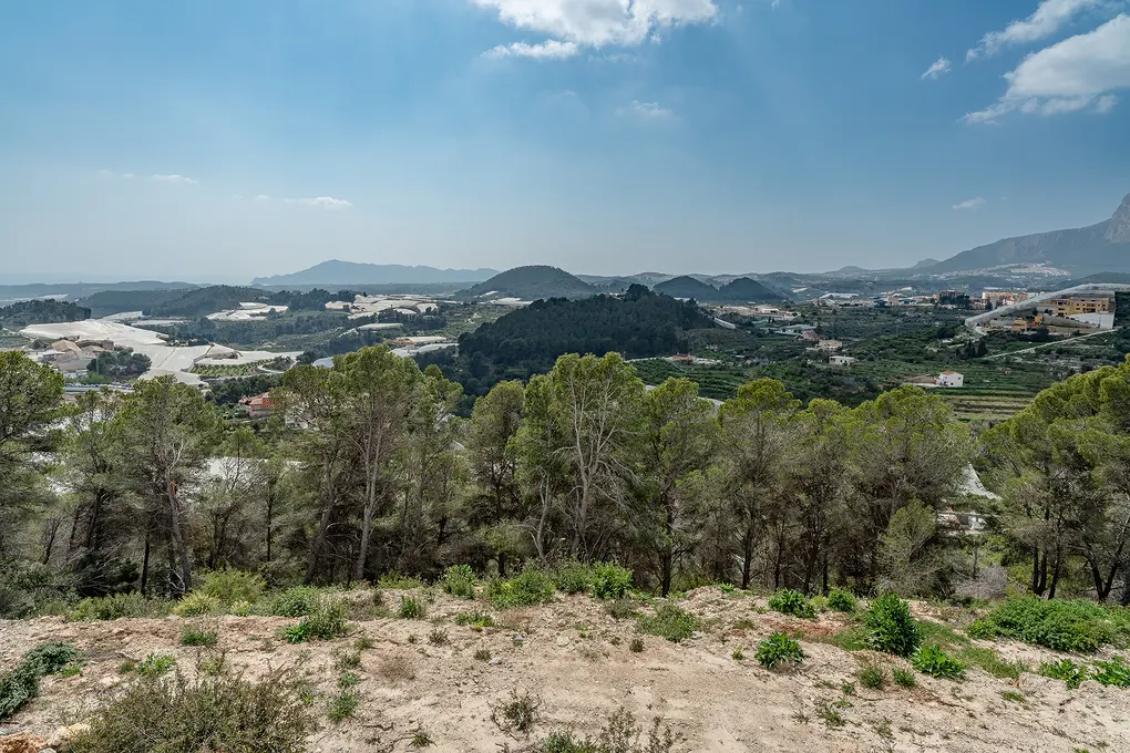 Landscape view from a hill with green trees, overlooking white greenhouses, mountains, and a blue sky with clouds.
