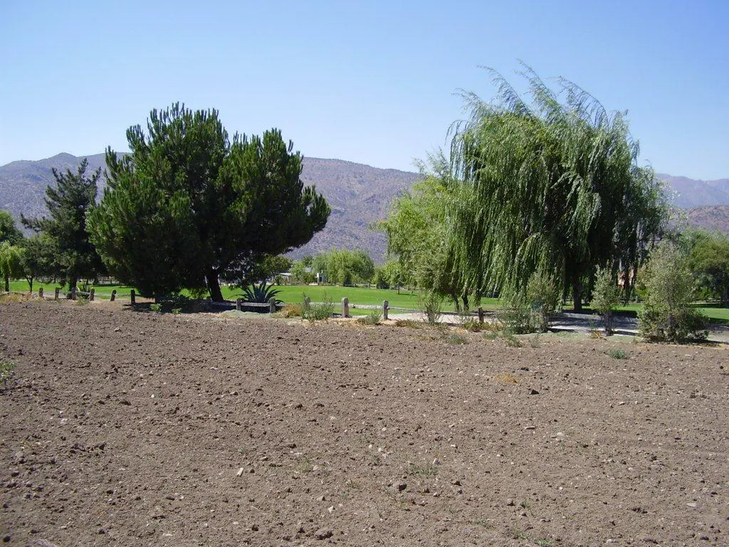 A landscape view of a brown field, green trees, and mountains under a blue sky.