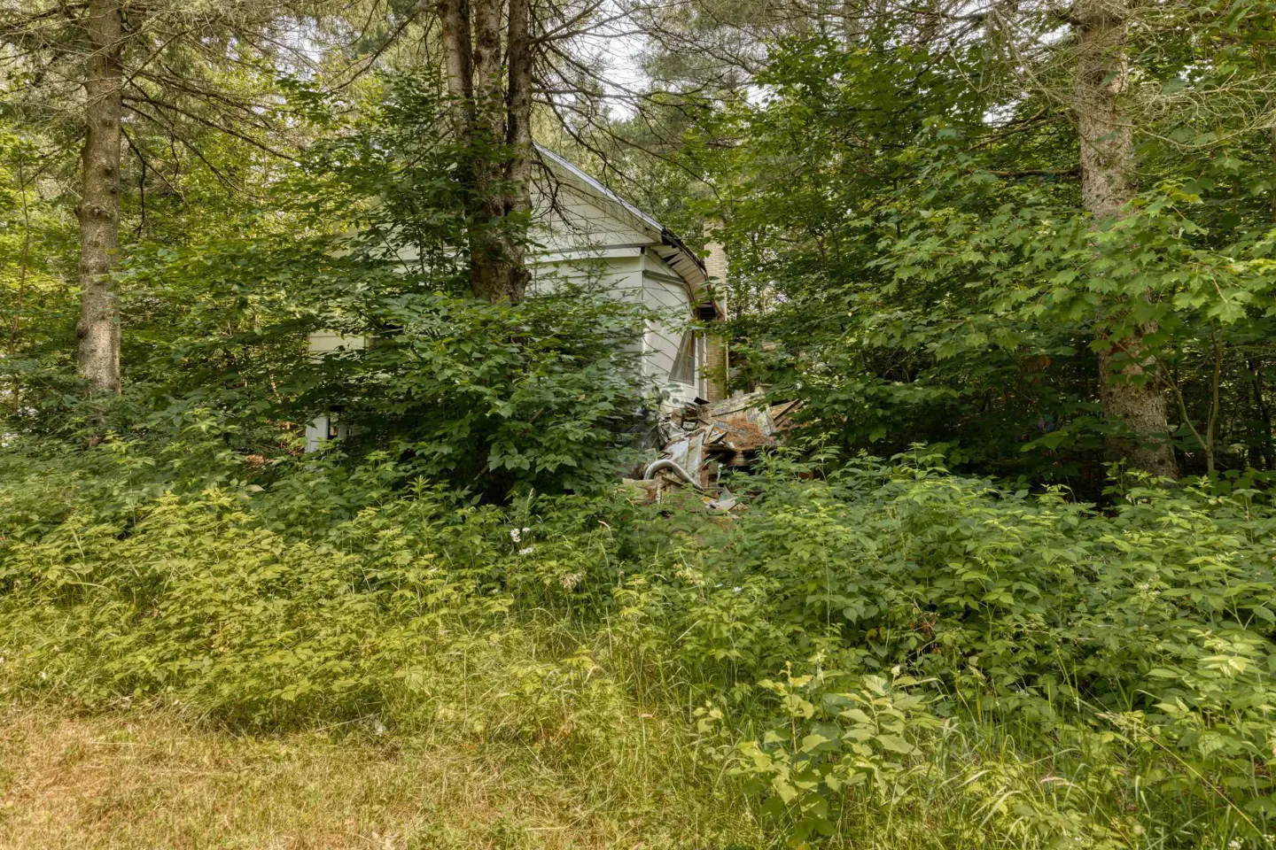 A white house is partially obscured by trees and overgrown vegetation.