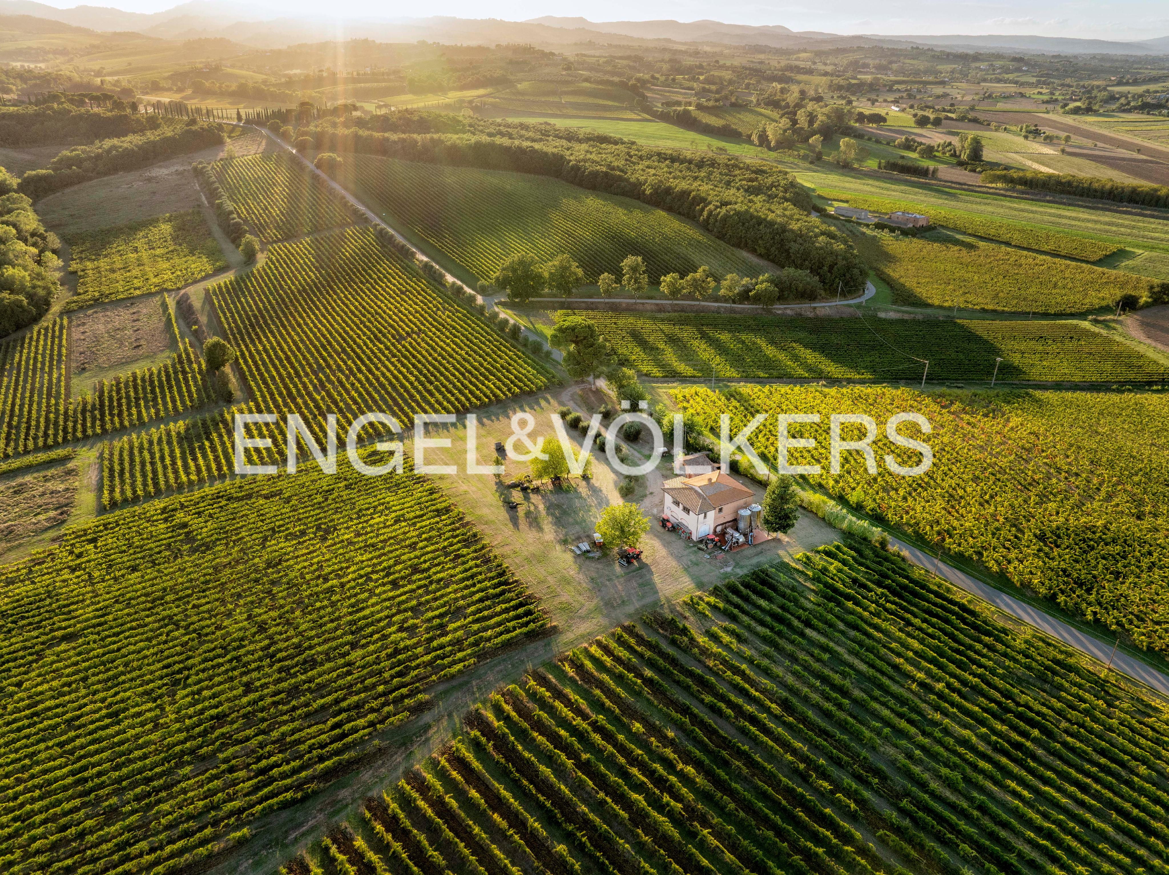 Tuscan Wine Estate over 12 Hectares of Vineyards near Montepulciano