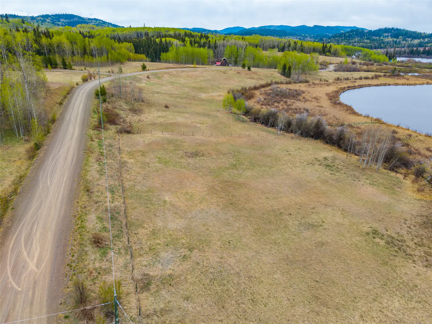 Aerial view of a large grassy field with a dirt road, trees, and a lake in the background.