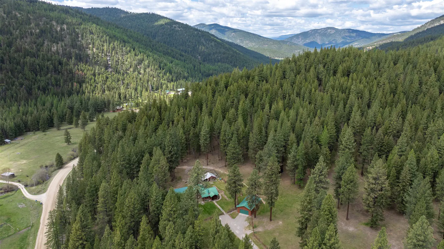Aerial view of a green cabin nestled in a dense forest, with mountains in the background under a partly cloudy sky.