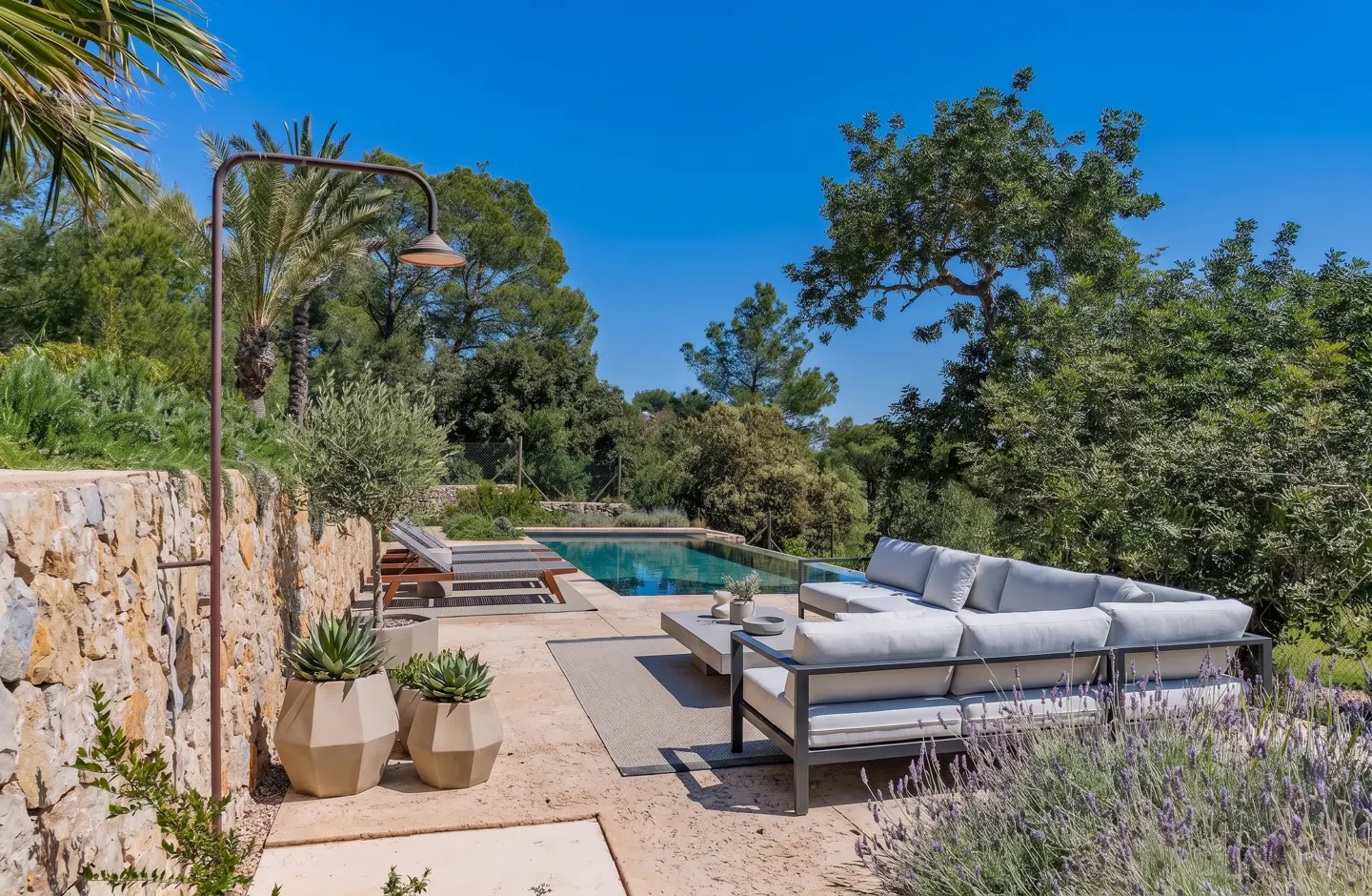 [AI-generated photo]