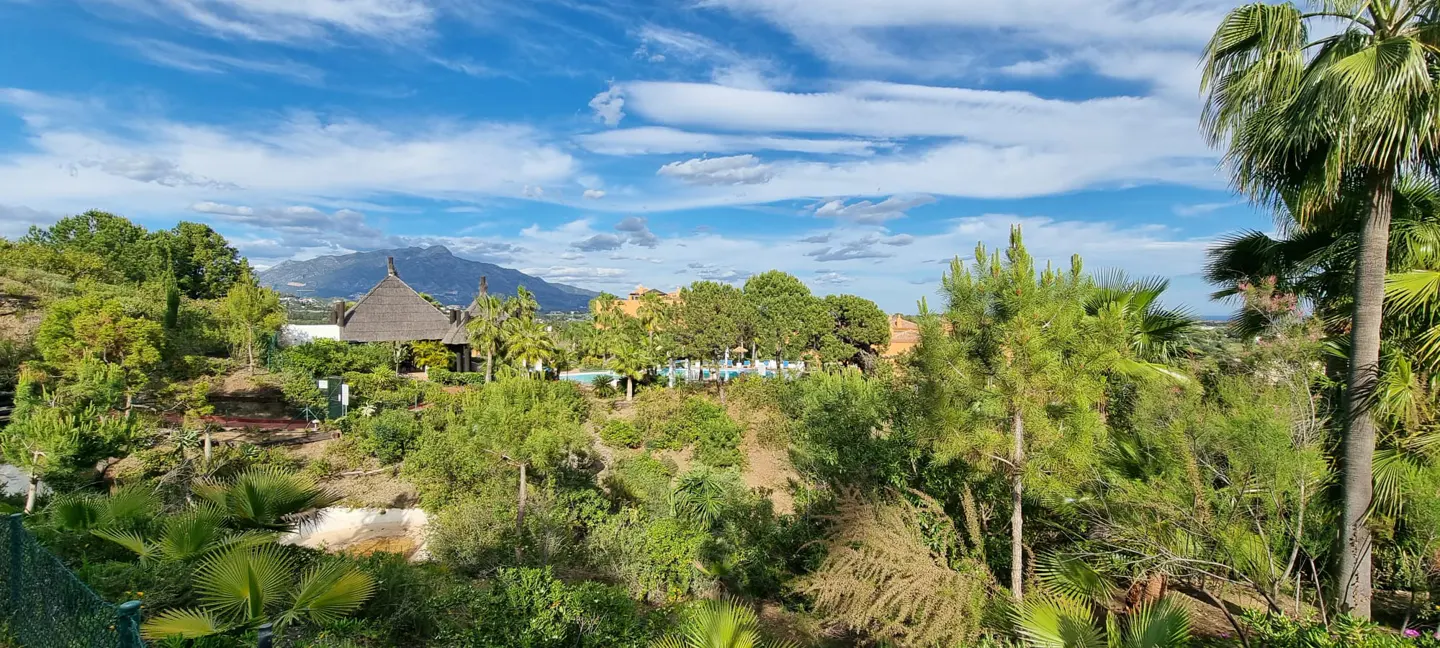 Scenic view of lush green landscape with palm trees, a thatched-roof gazebo, and a mountain under a blue sky with scattered clouds.