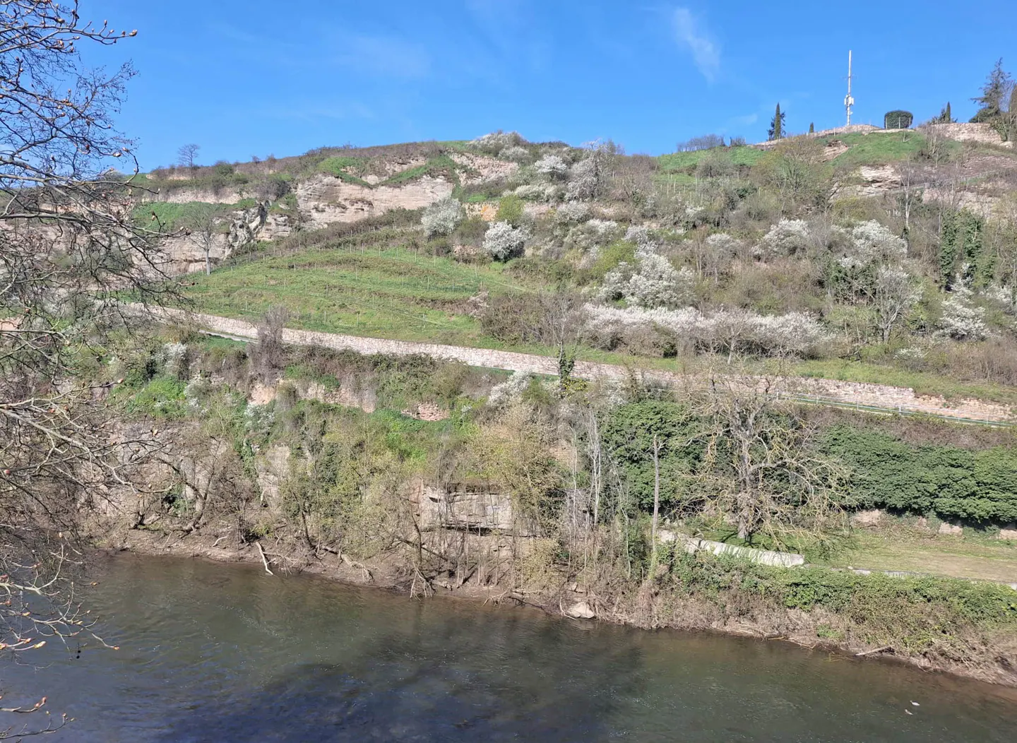 River view of a green hillside with trees and a blue sky.