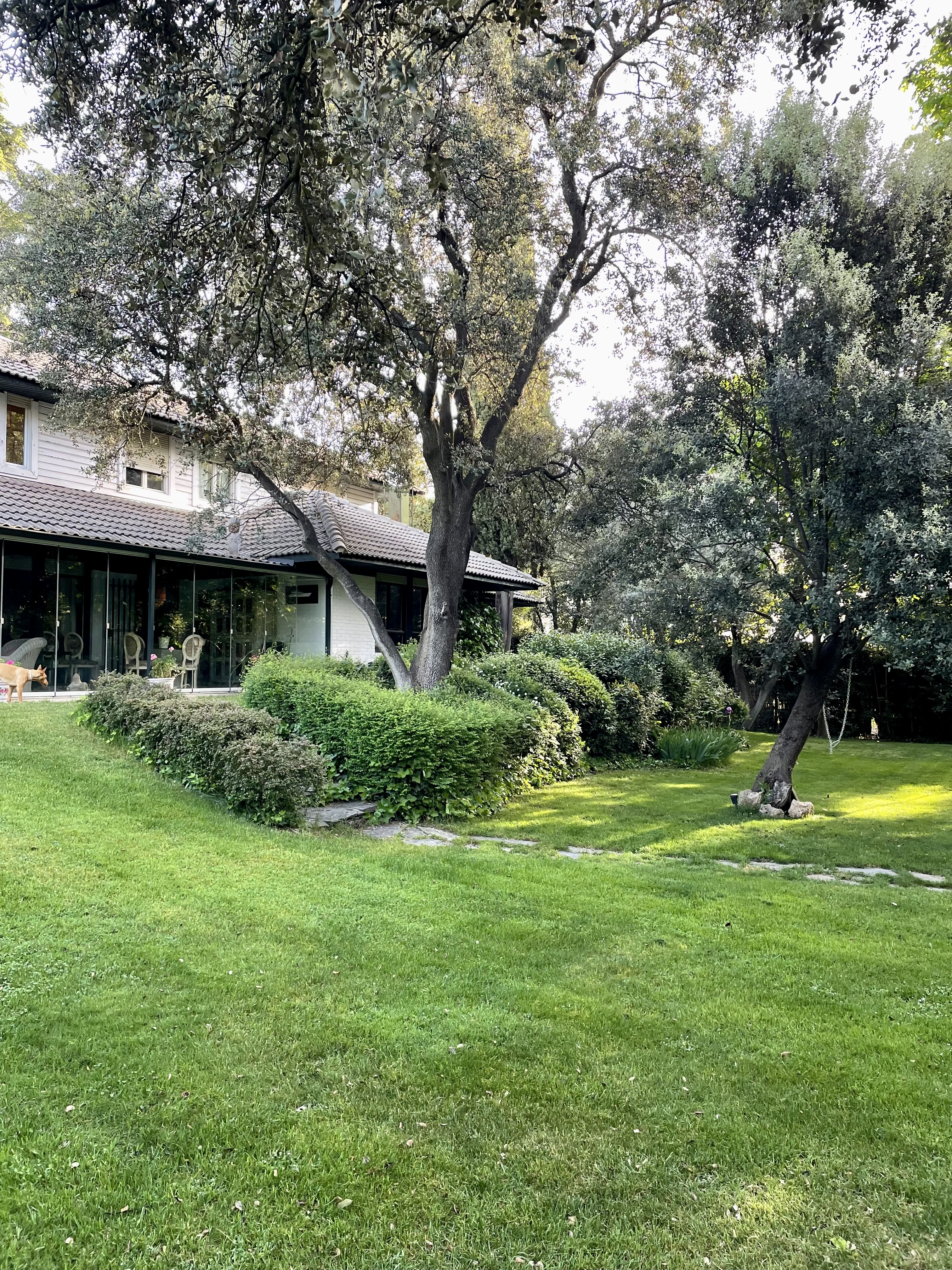 Exclusive independent ownership of one of the best plots in La Moraleja
